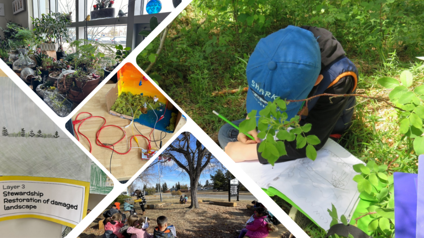 Classroom with plants, science project, student in nature, outdoor classroom, science artwork 