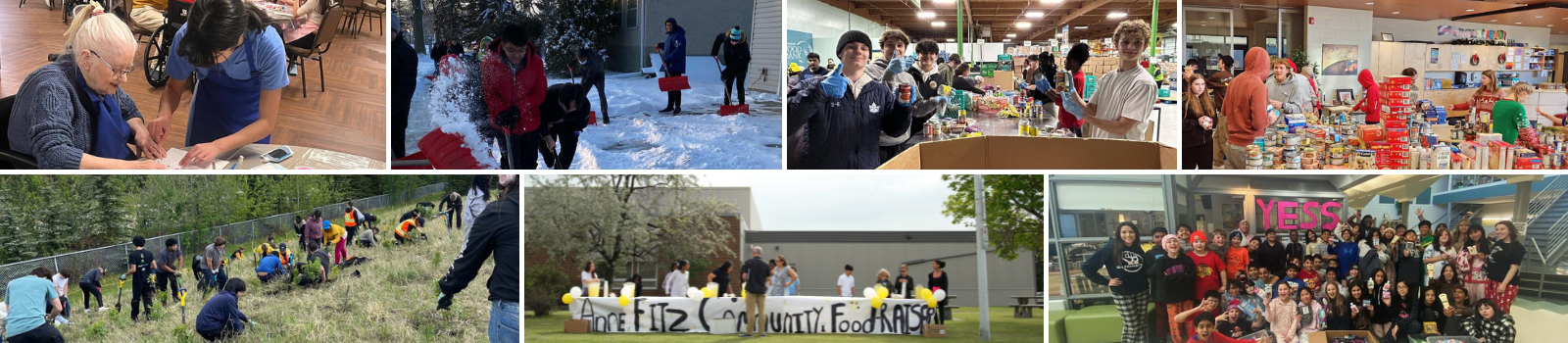 Social Justice Banner