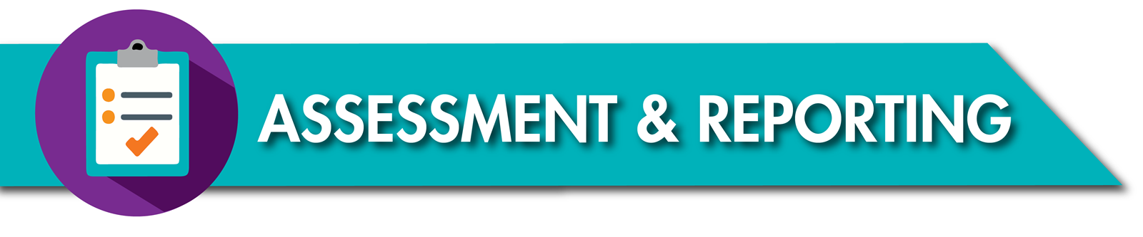 Assessment & Reporting.png